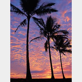caribbean sunset