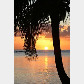 caribbean sunset