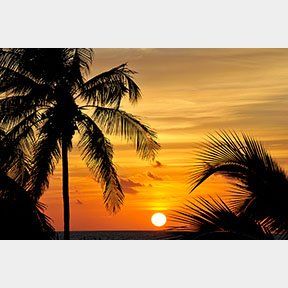caribbean sunset