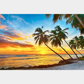 caribbean sunset