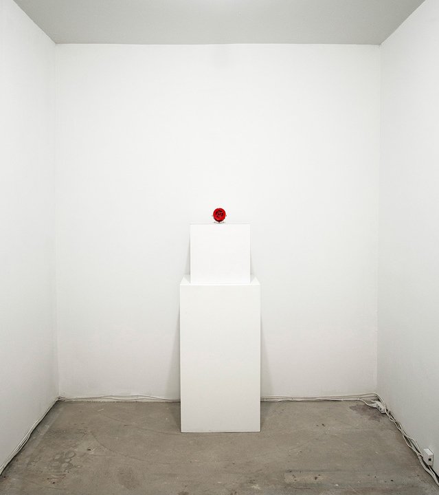 installation view