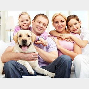 happy families