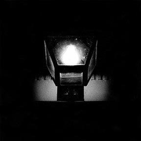 bulb