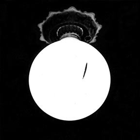 bulb