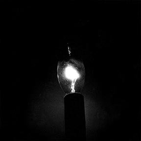 bulb