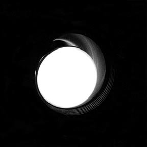 bulb