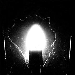 bulb