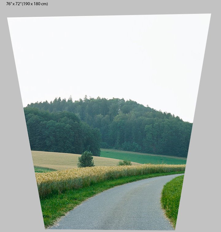 path portrait