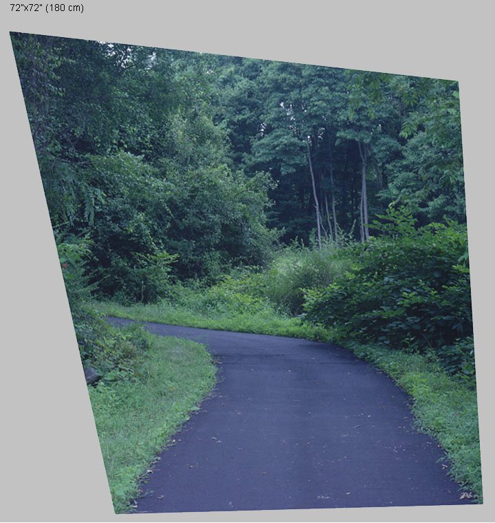 path portrait