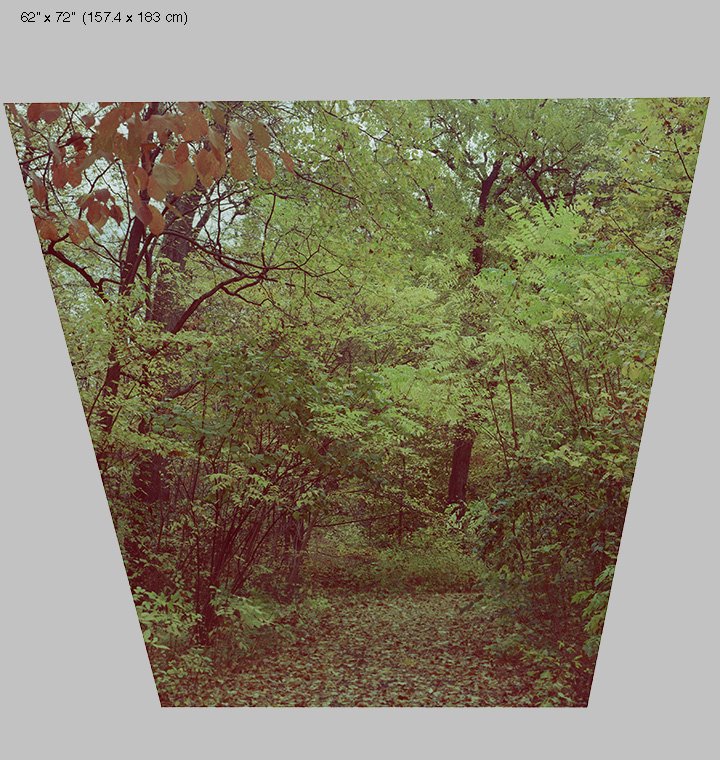 path portrait