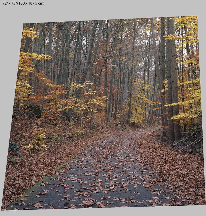 path portrait