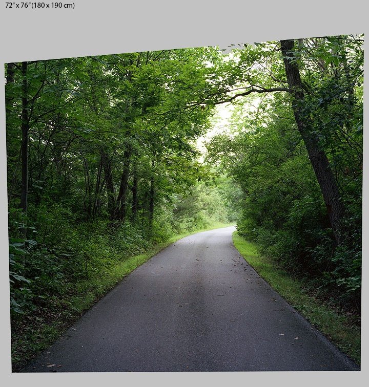 path portrait