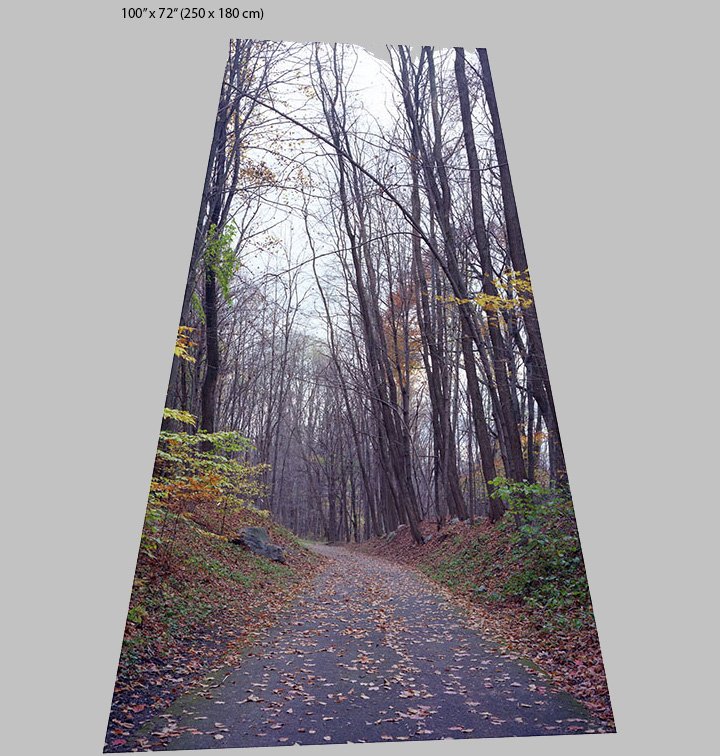 path portrait