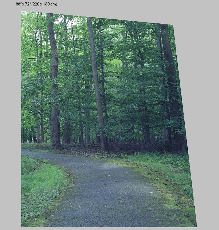 path portrait