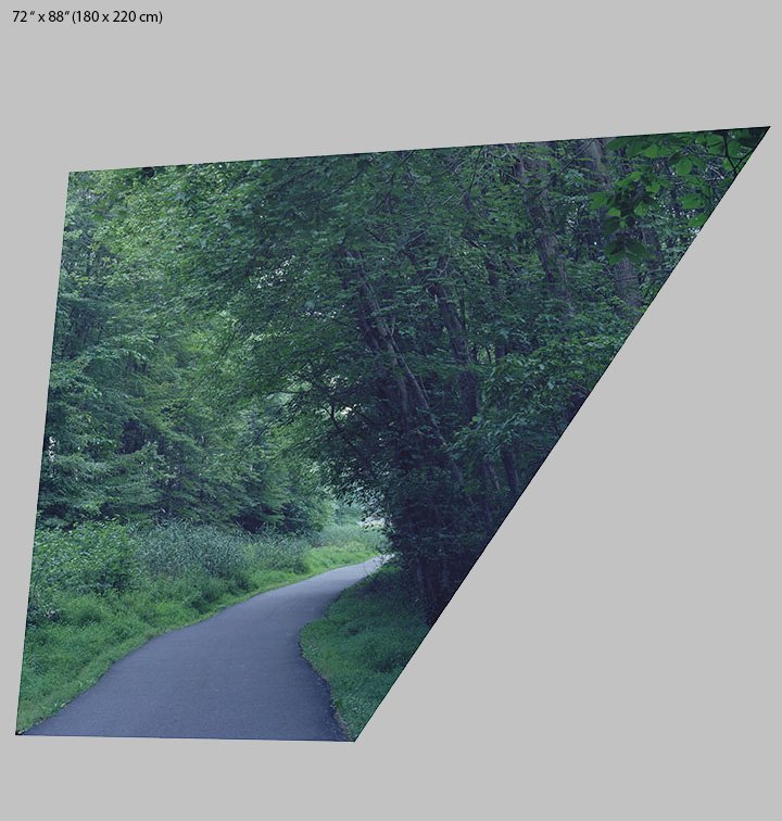 path portrait