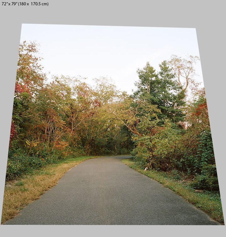 path portrait