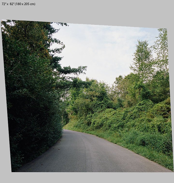 path portrait